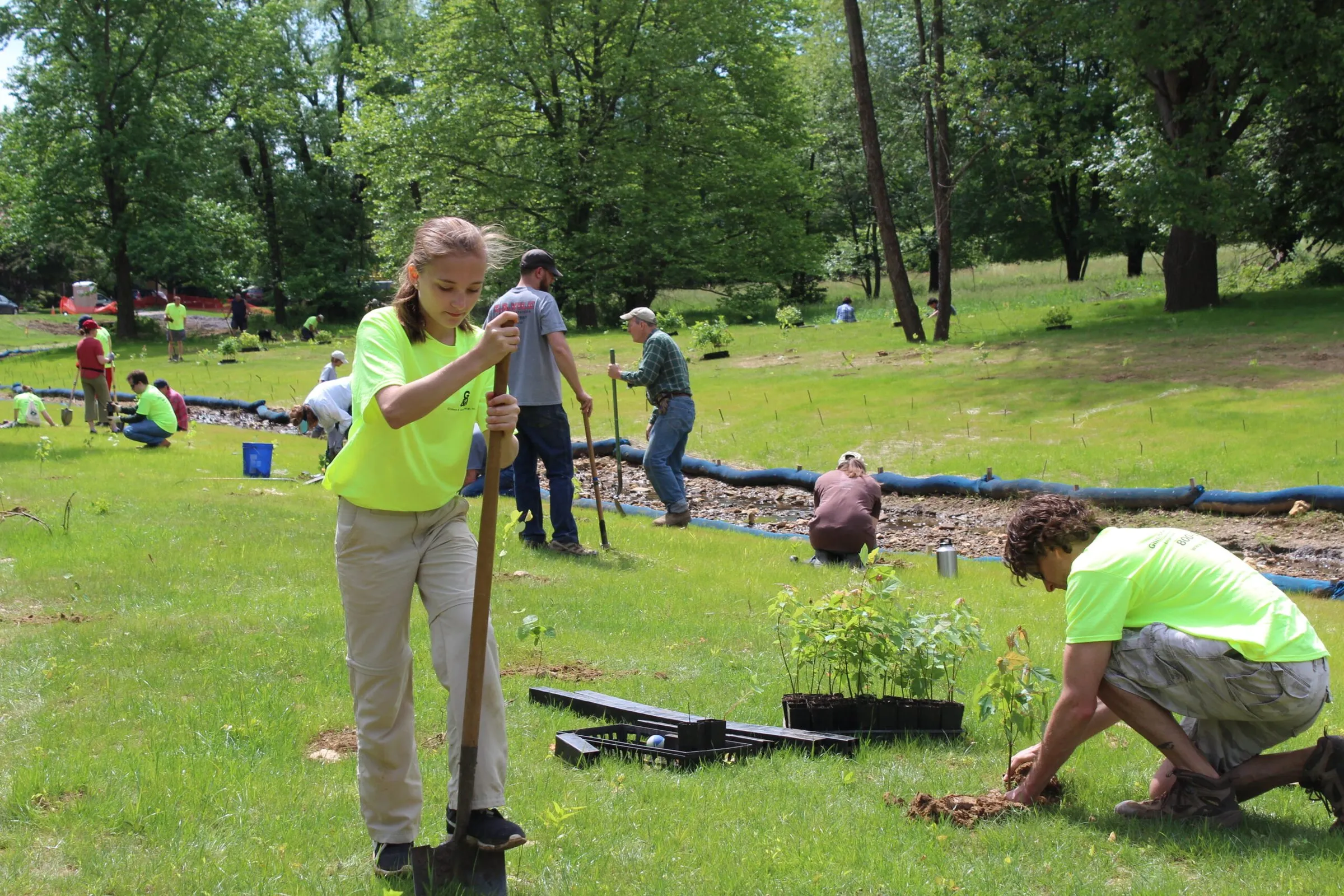 Crew in high-visibility shirts planting native seedlings on a grassy site lined with erosion-control logs — cover image for the Gilmore & Associates website project